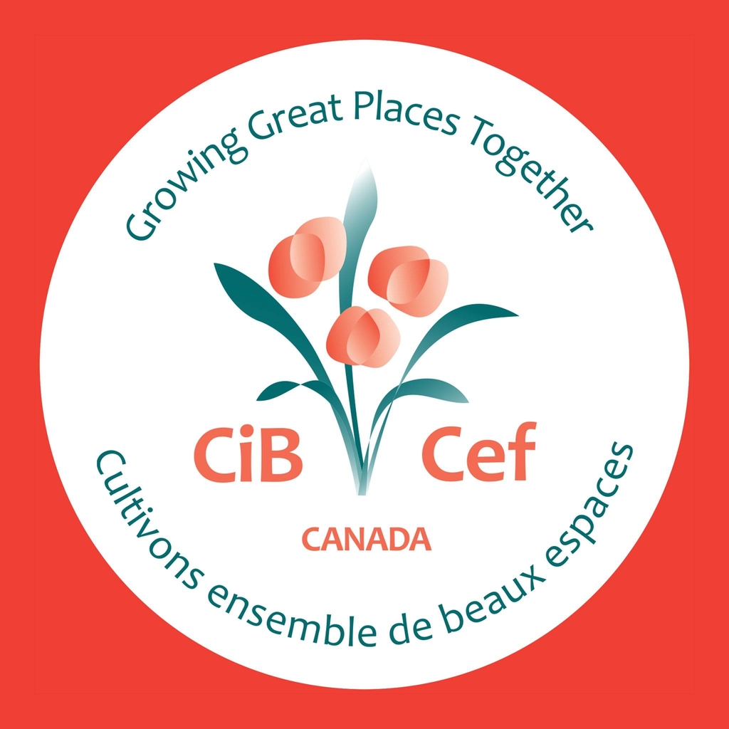 interesting-agnesi.149-56-38-104.plesk.page